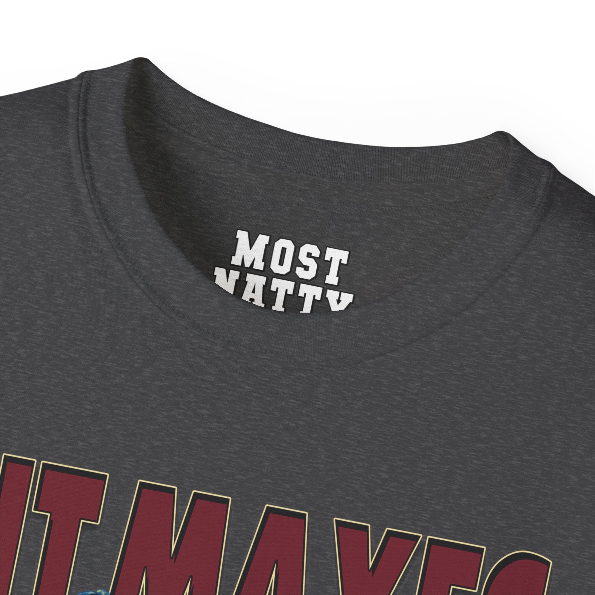 Hit Maxes Evade Taxes T-Shirt