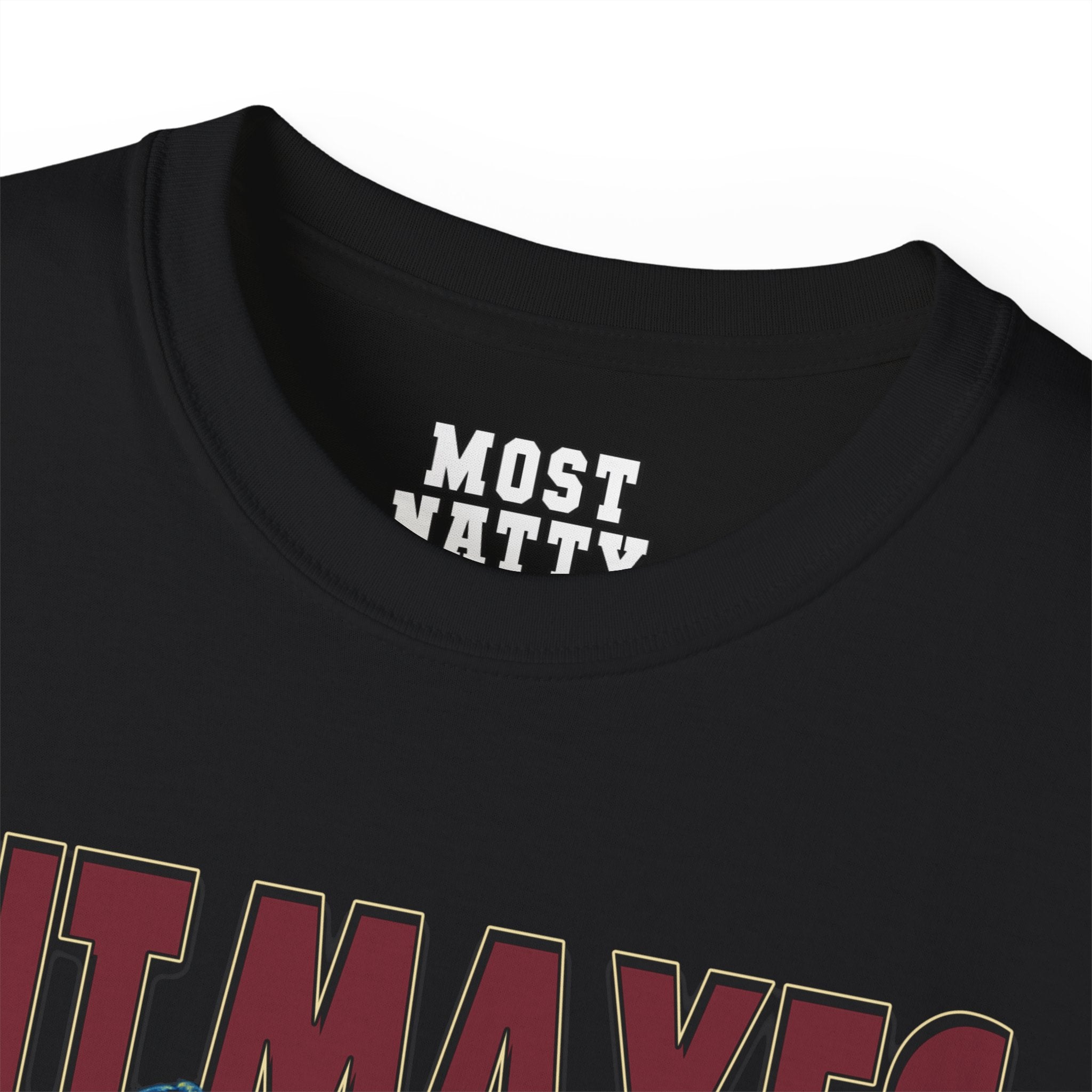 Hit Maxes Evade Taxes T-Shirt