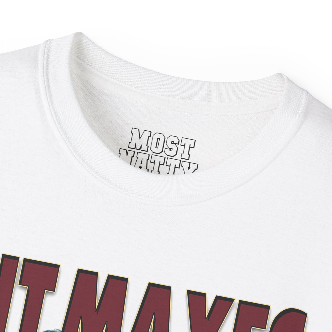 Hit Maxes Evade Taxes T-Shirt