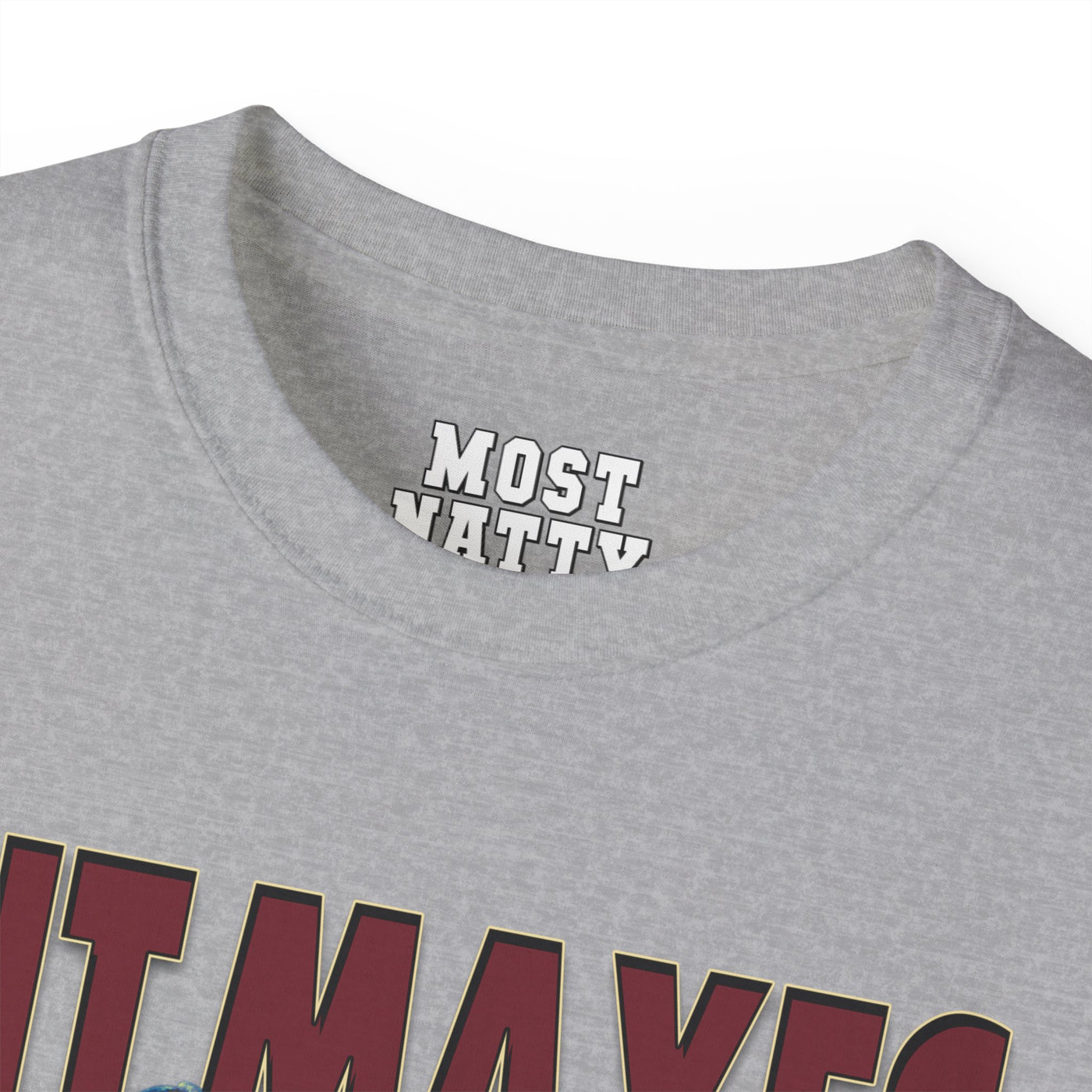 Hit Maxes Evade Taxes T-Shirt