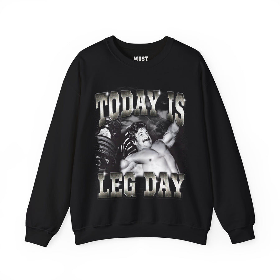 Today Is Leg Day Pump Cover