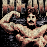 Mike Mentzer Heavy Duty Pump Cover