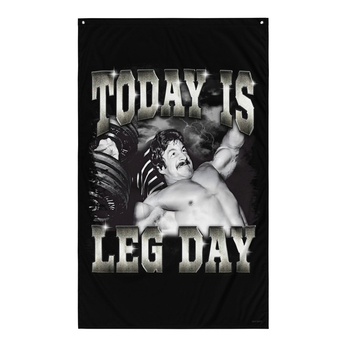 Today Is Leg Day Flag - Most Natty