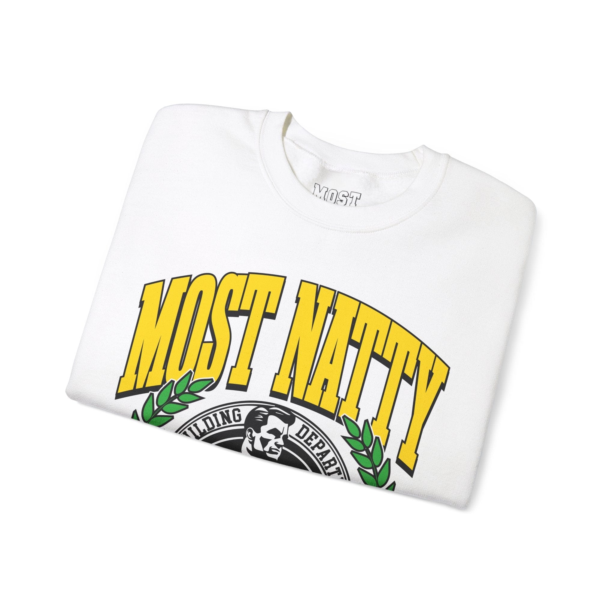 Sweatshirt Most Natty College Pump Cover