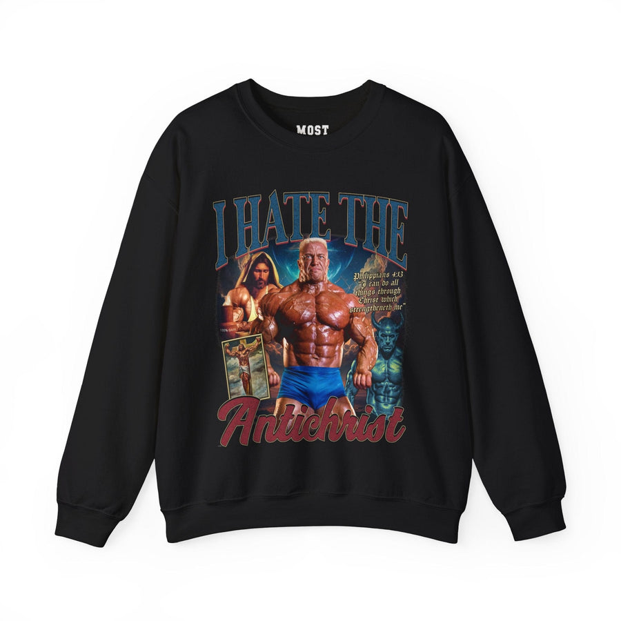 Sweatshirt S / Black I Hate the Antichrist Pump Cover