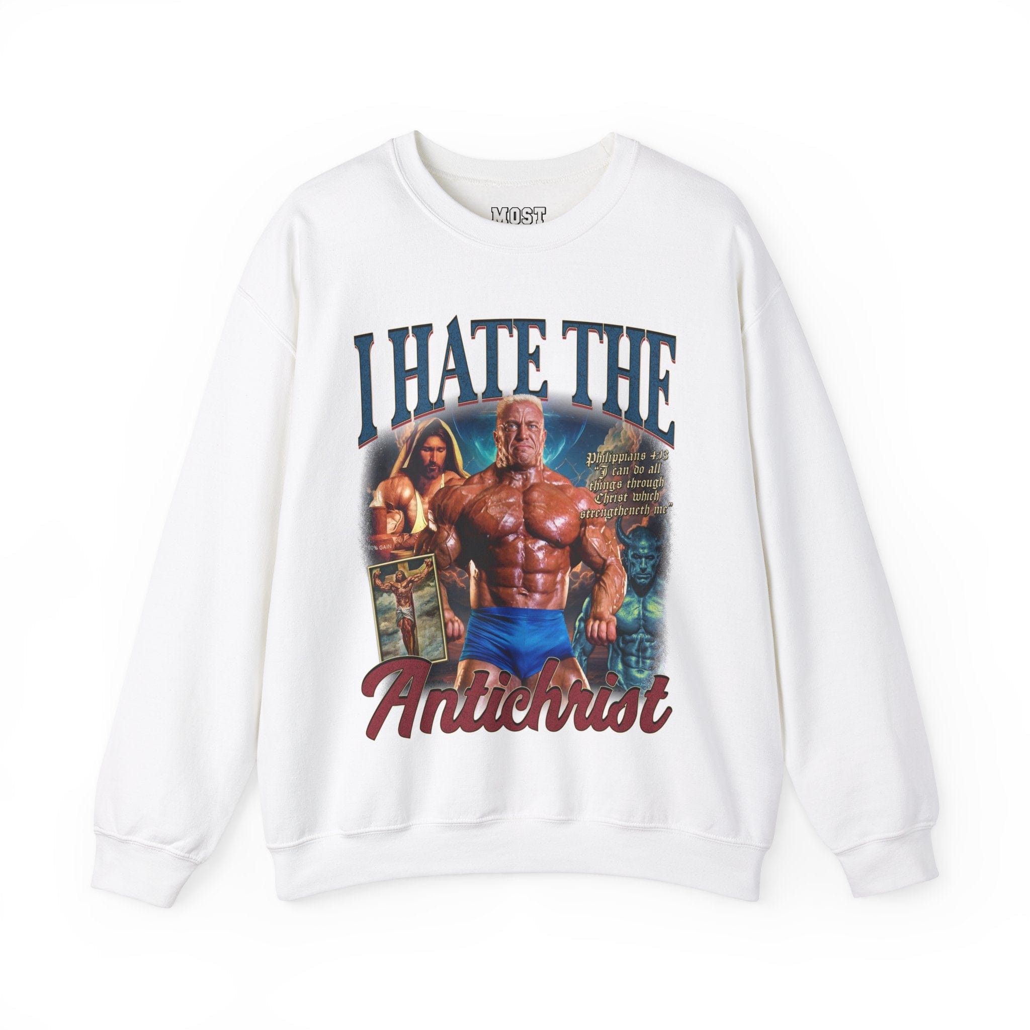 Sweatshirt S / White I Hate the Antichrist Pump Cover