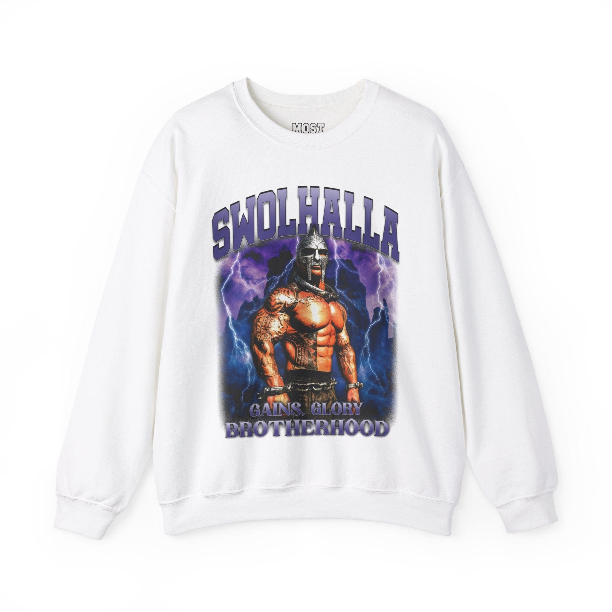 Sweatshirt S / White Swolhalla Pump Cover