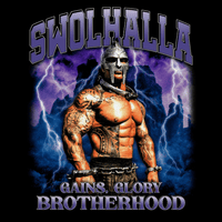 Swolhalla Oversized T-Shirt